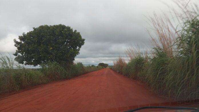 com-drones-e-caes-farejadores,-buscas-por-mecanico-desaparecido-em-fazenda-chegam-ao-setimo-dia