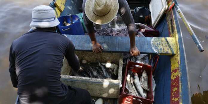 pescadores-beneficiados-pelo-seguro-defeso-recebem-6o-lote-nesta-terca pescadores-beneficiados-pelo-seguro-defeso-recebem-6o-lote-nesta-terca