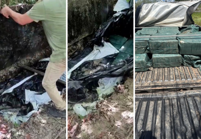 cocaina-encontrada-em-buraco-na-mata-no-to-chega-a-quase-470-kg