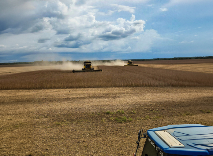 clima,-custos-e-mercado-desafiam-a-producao-agricola-no-tocantins