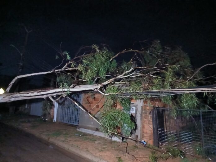 chuva-forte-durante-a-madrugada-causas-estragos-em-palmas