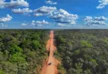 Asfaltamento da BR-319 aumenta risco de novas pandemias, alertam cientistas asfaltamento-da-br-319-aumenta-risco-de-novas-pandemias,-alertam-cientistas