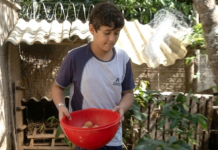 Menino de 11 anos que montou granja no TO faz doação para crianças carentes e inspira colegas menino-de-11-anos-que-montou-granja-no-to-faz-doacao para-criancas-carentes-e-inspira-colegas