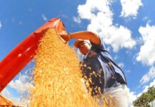 Atividade econômica brasileira cresce 0,6% em fevereiro atividade-economica-brasileira-cresce-0,6%-em-fevereiro