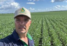 2ª safra no TO exige estratégia diante de desafios no campo, avalia Aprosoja 2a-safra-no-to-exige-estrategia-diante-de-desafios-no-campo,-avalia-aprosoja