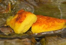 VÍDEOS: Jornal do Campo-TO deste domingo, 19 de abril de 2026 videos:-jornal-do-campo-to-deste-domingo,-19-de-abril-de-2026