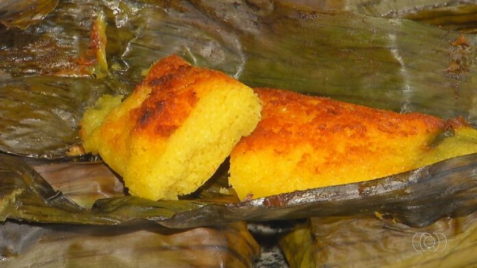 videos:-jornal-do-campo-to-deste-domingo,-19-de-abril-de-2026