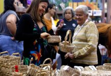 Brasil já tem 4,5 milhões de empreendedores da Economia Prateada brasil-ja-tem-4,5-milhoes-de-empreendedores-da-economia-prateada