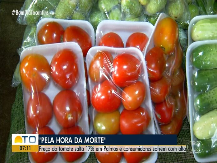 bom-dia-tocantins-de-segunda-feira,-20-de-abril