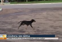 VÍDEOS: Jornal Anhanguera 1ª Edição-TO de segunda-feira, 21 de abril de 2026 videos:-jornal-anhanguera-1a-edicao-to-de-segunda-feira,-21-de-abril-de-2026