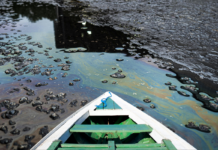 Uma ideia cujo tempo chegou uma-ideia-cujo-tempo-chegou