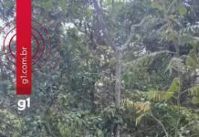 Conheça muro de pedras histórico construído por escravizados na região das Serras Gerais no TO conheca-muro-de-pedras historico-construido-por-escravizados-na-regiao-das-serras-gerais-no-to