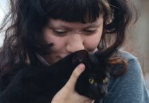 Programa da Prefeitura de SP faz castração gratuita de cães e gatos programa-da-prefeitura-de-sp-faz-castracao-gratuita-de-caes-e-gatos