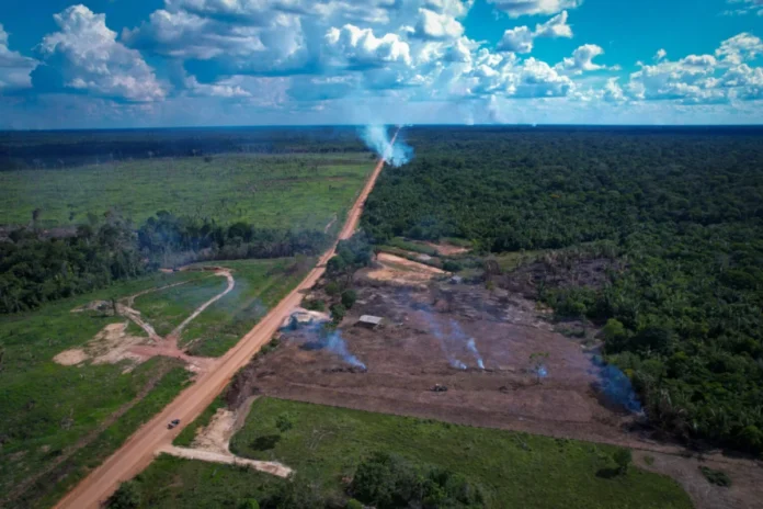 observatorio-do-clima-entra-na-justica-contra-pavimentacao-da-br-319