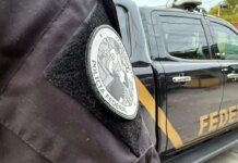 PF apreende mais de duas toneladas de maconha prensada no Paraná pf-apreende-mais-de-duas-toneladas-de-maconha-prensada-no-parana