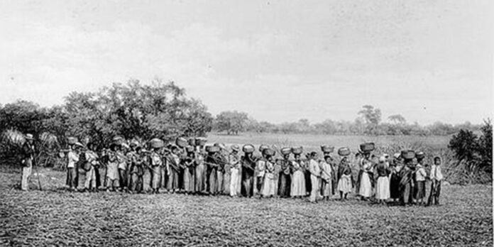 maioria-de-empresarios-que-apoiou-ditadura-vem-de-familias-escravistas