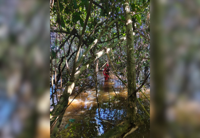 bombeiros-fazem-buscas-por-homem-desaparecido-na-zona-rural-de-aragominas