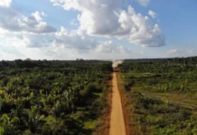 TFR1 derruba liminar que suspendia editais para o asfaltamento da BR-319 tfr1-derruba-liminar-que-suspendia-editais-para-o-asfaltamento-da-br-319