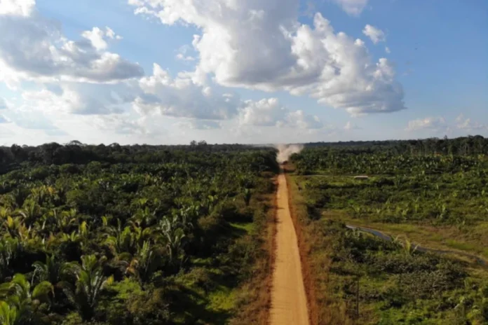 tfr1-derruba-liminar-que-suspendia-editais-para-o-asfaltamento-da-br-319