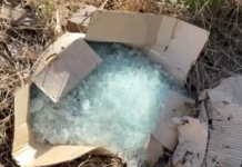 Linhas são recolhidas pela polícia no local onde jovem morreu após ser atingido no pescoço linhas-sao-recolhidas-pela-policia-no-local-onde-jovem-morreu-apos-ser-atingido-no-pescoco