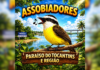 brincadeira-do-‘assobio’-lota-grupo-de-aplicativo-no-to-e-viraliza-nas-redes;-video