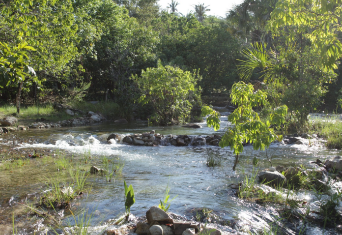 aguas-cristalinas-e-tranquilidade:-saiba-como-chegar-ao-‘caribe-do-cerrado’-no-to
