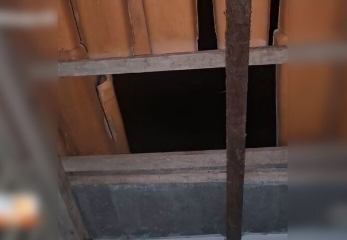 homem-escala-telhado,-invade-casa-da-ex,-espanca-a-vitima-e-tenta-explodir-local,-diz-policia