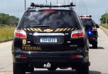 PF apreende mais de uma tonelada de maconha em rodovia paulista pf-apreende-mais-de-uma-tonelada-de-maconha-em-rodovia-paulista