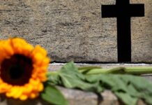 SP: feminicídio aumenta 41%; violação de medida protetiva sobe 31,9% sp:-feminicidio-aumenta-41%;-violacao-de-medida-protetiva-sobe-31,9%