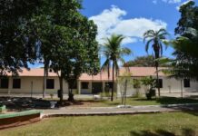 IFTO abre seleção para professores em Dianópolis com salários de até R$ 8,9 mil ifto abre-selecao-para-professores-em-dianopolis-com-salarios-de-ate-r$-8,9-mil