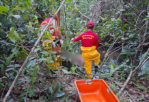 Pescadores encontram corpo em decomposição preso a galhos em rio no TO, dizem bombeiros pescadores-encontram-corpo-em-decomposicao-preso-a-galhos-em-rio-no-to,-dizem-bombeiros