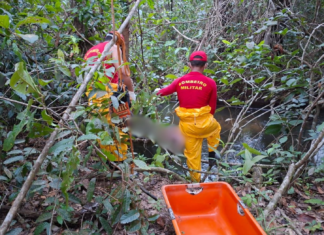 pescadores-encontram-corpo-em-decomposicao-preso-a-galhos-em-rio-no-to,-dizem-bombeiros