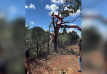 O que se sabe sobre a queda do helicóptero da dupla Henrique e Juliano em fazenda no Tocantins o-que-se-sabe-sobre-a-queda-do-helicoptero-da-dupla-henrique-e-juliano-em-fazenda-no-tocantins