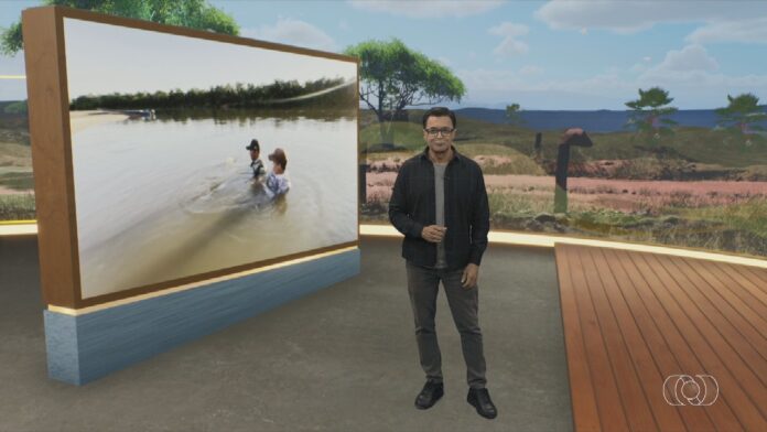 videos:-jornal-do-campo-to-deste-domingo,-10-de-maio-de-2026