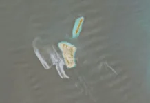 Imagens indicam possível vazamento de petróleo no Golfo Pérsico imagens-indicam-possivel-vazamento-de-petroleo-no-golfo-persico
