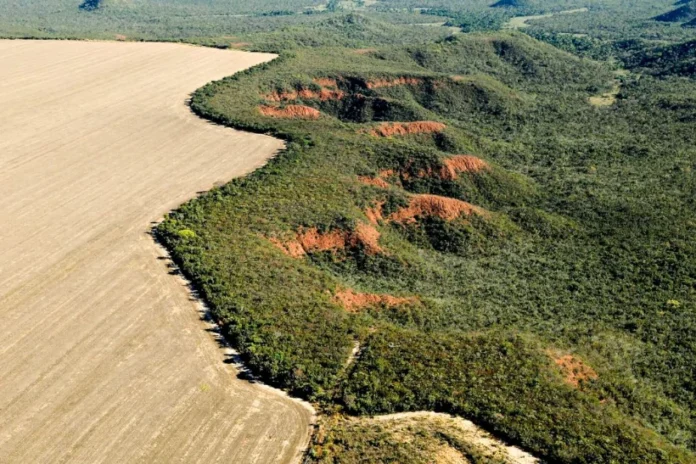 amazonia-e-cerrado-registram-queda-no-desmatamento-em-abril,-indica-inpe