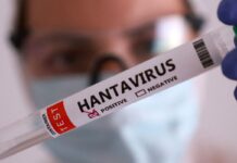 Duas pessoas retiradas de navio testam positivo para o hantavírus duas-pessoas-retiradas-de-navio-testam-positivo-para-o-hantavirus
