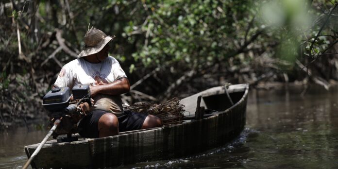 inss-paga-em-julho-r$-874-milhoes-a-149,5-mil-pescadores inss-paga-em-julho-r$-874-milhoes-a-149,5-mil-pescadores