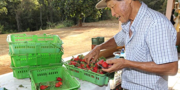 finep-vai-pagar-r$-220-milhoes-para-inovacoes-em-agricultura-familiar finep-vai-pagar-r$-220-milhoes-para-inovacoes-em-agricultura-familiar