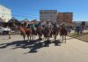 videos:-jornal-do-campo-–-to-de-domingo,-5-de-julho-de-2026