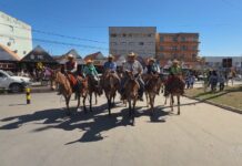 VÍDEOS: Jornal do Campo – TO de domingo, 5 de julho de 2026 videos:-jornal-do-campo-–-to-de-domingo,-5-de-julho-de-2026
