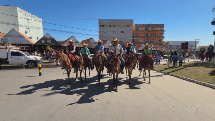 videos:-jornal-do-campo-–-to-de-domingo,-5-de-julho-de-2026