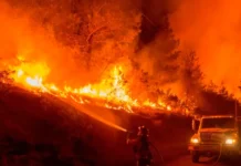Incêndios florestais avançam no sul da Europa e deslocam milhares de pessoas incendios-florestais-avancam-no-sul-da-europa-e-deslocam-milhares-de-pessoas