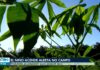 videos:-jornal-anhanguera-2a-edicao-to-de-segunda-feira,-6-de-julho-de-2026