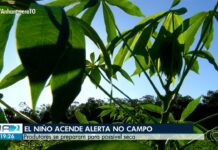 VÍDEOS: Jornal Anhanguera 2ª Edição-TO de segunda-feira, 6 de julho de 2026 videos:-jornal-anhanguera-2a-edicao-to-de-segunda-feira,-6-de-julho-de-2026