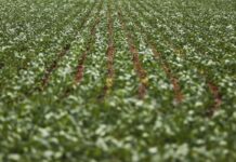 Reunião com bancada do agro termina sem acordo sobre dívidas rurais reuniao-com-bancada-do-agro-termina-sem-acordo-sobre-dividas-rurais