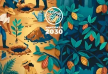 Falta de emprego e renda impulsiona desmatamento na Amazônia, indica estudo falta-de-emprego-e-renda-impulsiona-desmatamento-na-amazonia,-indica-estudo