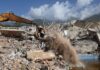 Número de mortos pelos terremotos na Venezuela sobe para 3.811 numero-de-mortos-pelos-terremotos-na-venezuela-sobe-para-3.811
