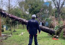 Rio Grande do Sul: chuvas deixam 720 desabrigados em Eldorado do Sul rio-grande-do-sul:-chuvas-deixam-720-desabrigados-em-eldorado-do-sul