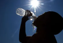 Europa registra mais de 10 mil mortes por onda de calor no fim de junho europa-registra-mais-de-10-mil-mortes-por-onda-de-calor-no-fim-de-junho